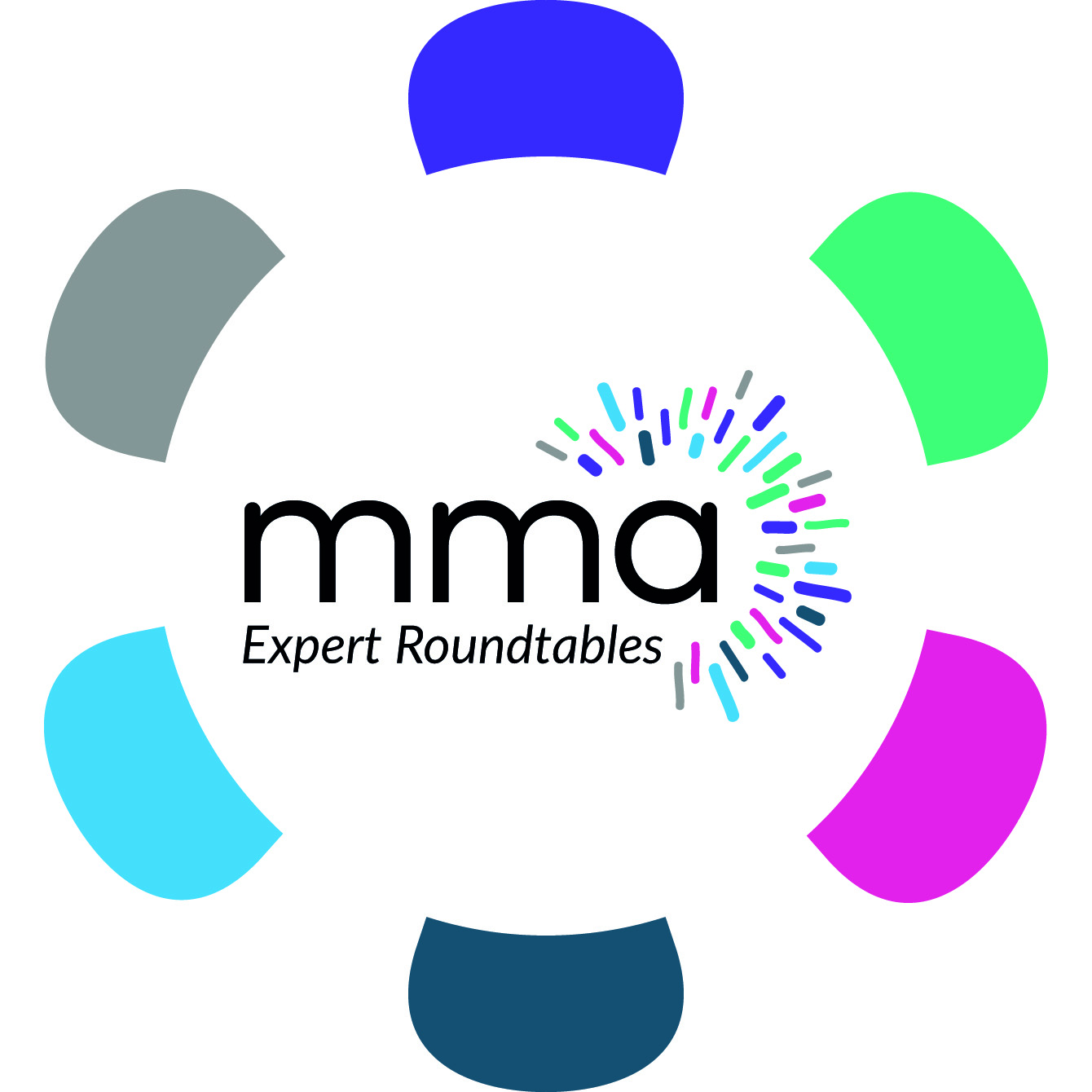 MMA Expert Roundtables